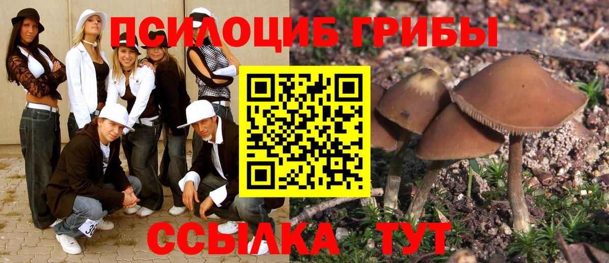 Галлюциногенные грибы Psilocybe  Вход с VPN  Златоуст  Псилоцибиновые грибы Psilocybe 