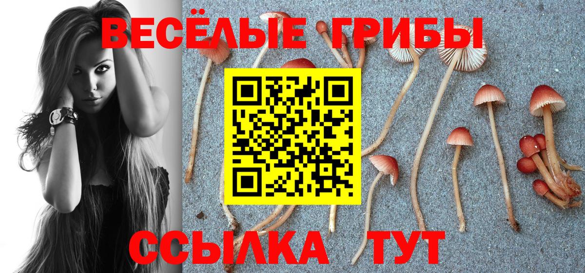 Псилоцибиновые грибы MAGIC MUSHROOMS Златоуст